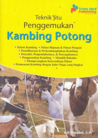 Teknik Jitu Penggemukan Kambing Potong