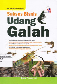 Sukses Bisnis Udang Galah