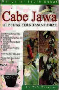 Cabe Jawa si pedas berkhasiat obat